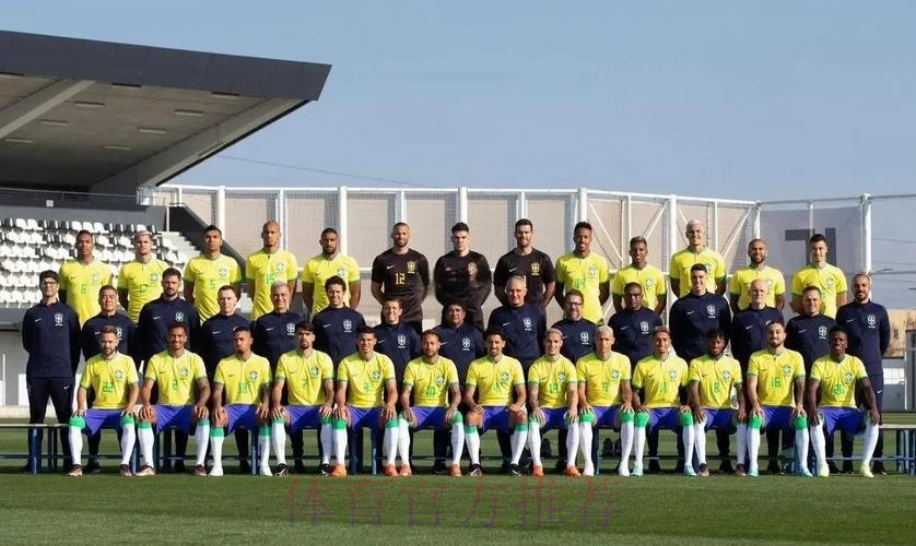 世界杯巴西凯恩阵容解析最新更新